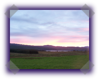 Highland Croft Produce - Quality Highland Lamb and Venison